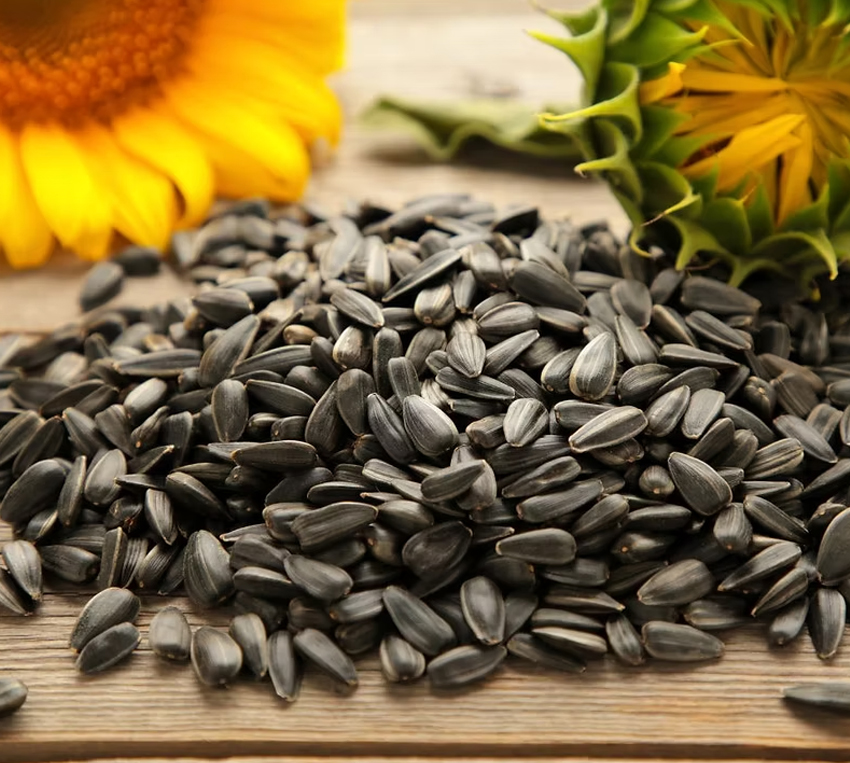 royal_mewah_Sunflower_Seeds
